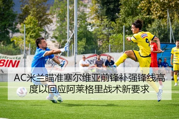AC米兰瞄准塞尔维亚前锋补强锋线高度以回应阿莱格里战术新要求